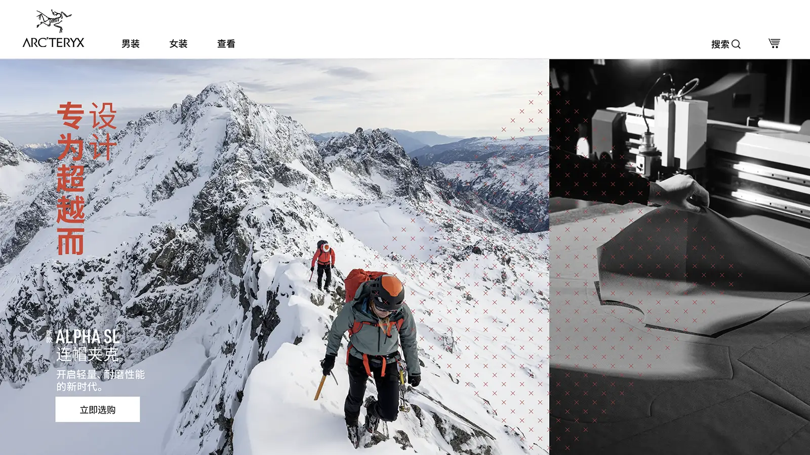 Arcteryx case study 2